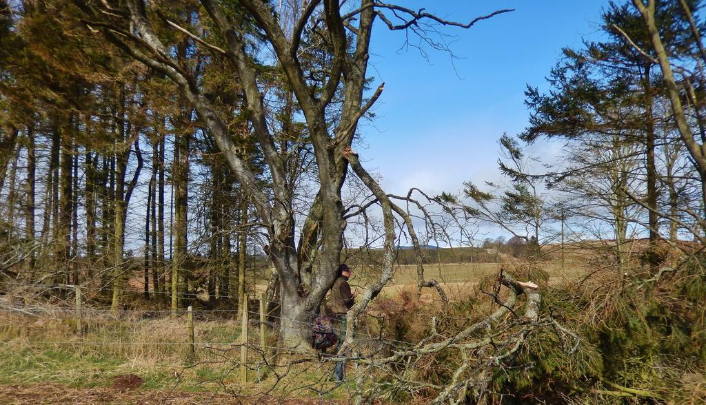 Scotland Paradise Relax Accommodation By Shooting Club Kirriemuir Balintore  Exteriör bild